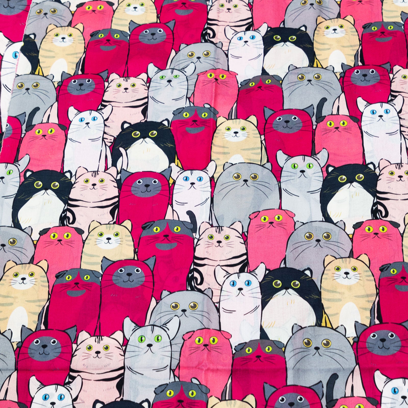 immagine-27-toocool-sciarpa-unisex-gatti-stola-frange-foulard-scialle-em-3579