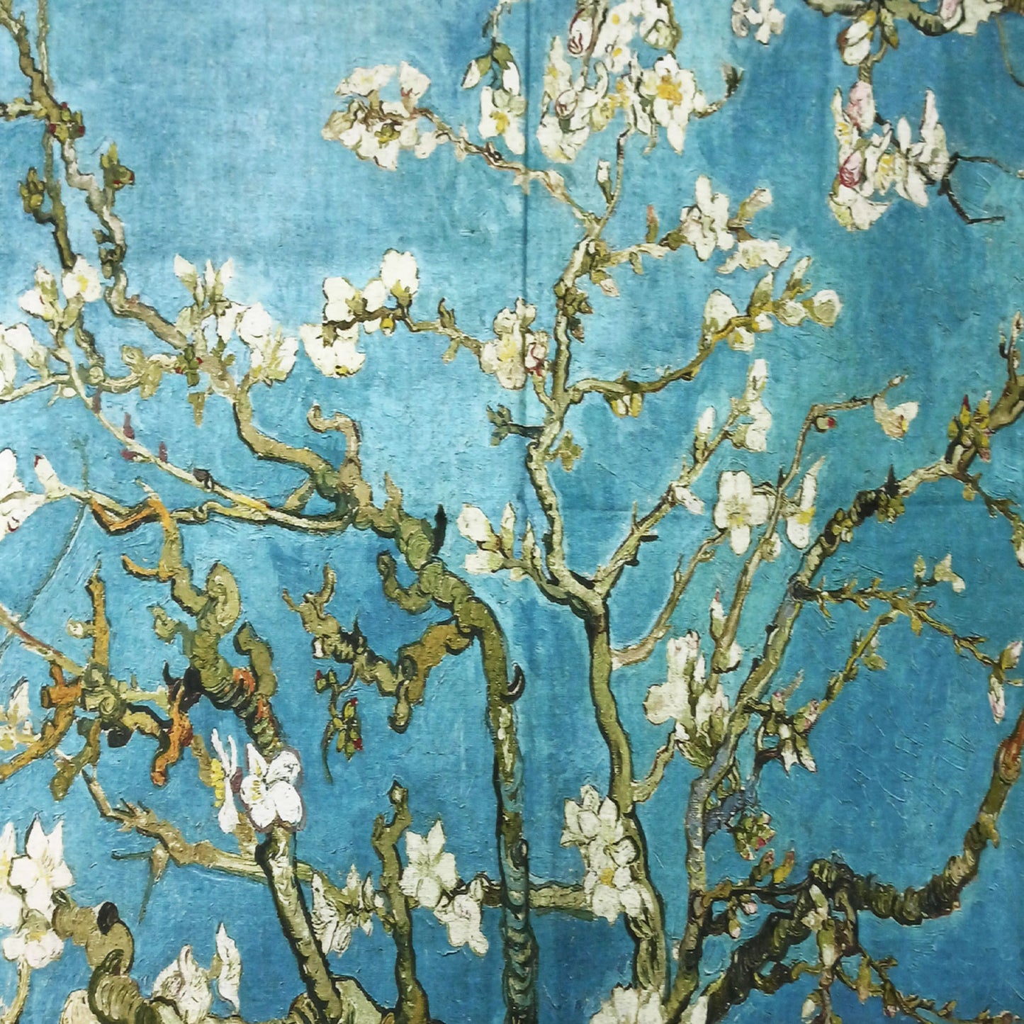 immagine-41-toocool-sciarpa-stola-unisex-klimt-a001