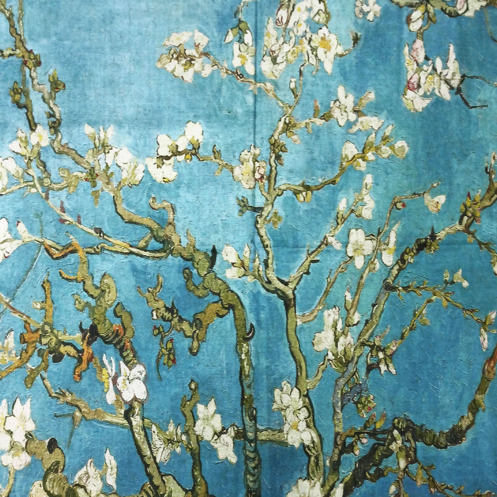 immagine-41-toocool-sciarpa-stola-unisex-klimt-a001